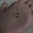 2026/07/1000003696-scaled.jpg