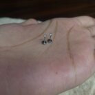 2026/07/1000003985-scaled.jpg